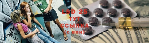 ПСИЛОЦИБИНОВЫЕ ГРИБЫ Абаза
