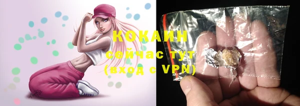ПСИЛОЦИБИНОВЫЕ ГРИБЫ Абаза