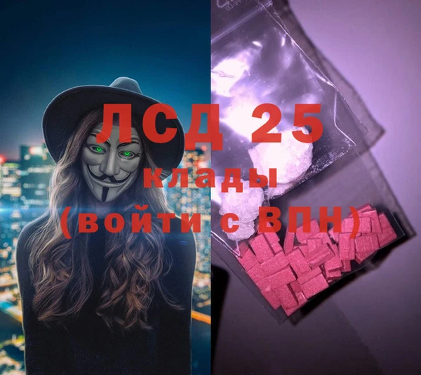 ПСИЛОЦИБИНОВЫЕ ГРИБЫ Абаза