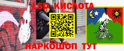 круглые Кингисепп