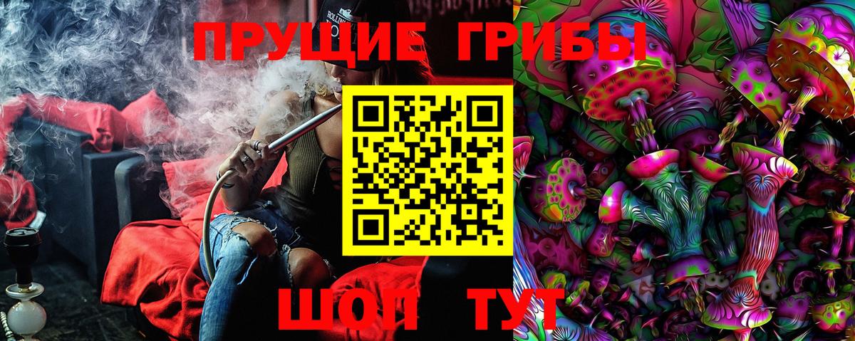 Курчатов  Псилоцибиновые грибы Cubensis  Галлюциногенные грибы Magic Shrooms  Вход с VPN 