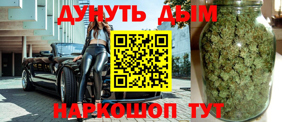 Каннабис сатива Курчатов